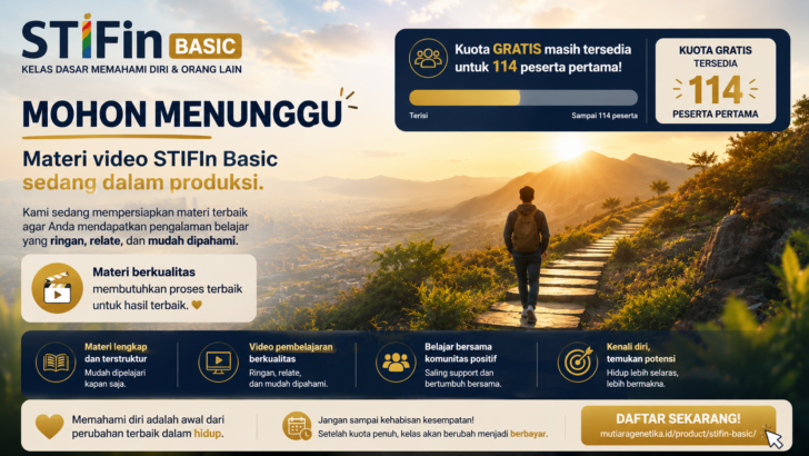 STIFIn Basic